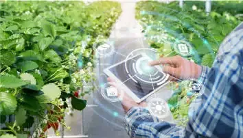 Choose Wireless Network