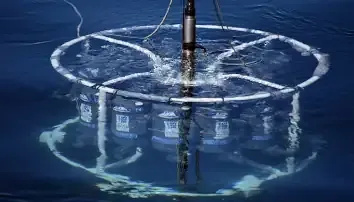 Choose Wireless Network