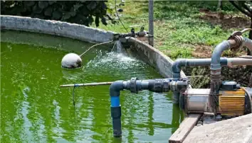 Choose Wireless Network